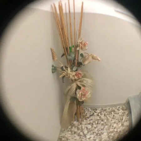 U Pallimmer Apartment