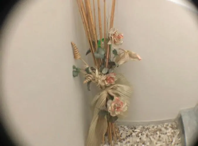 U Pallimmer Lägenhet